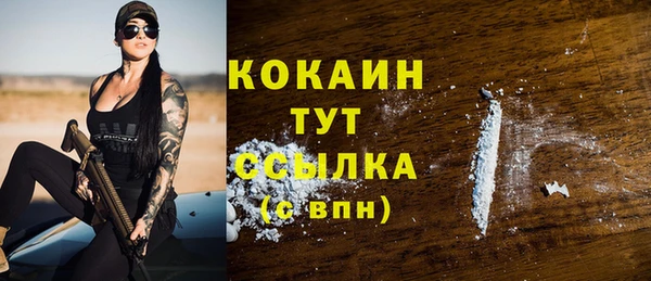 прущий лед Новозыбков